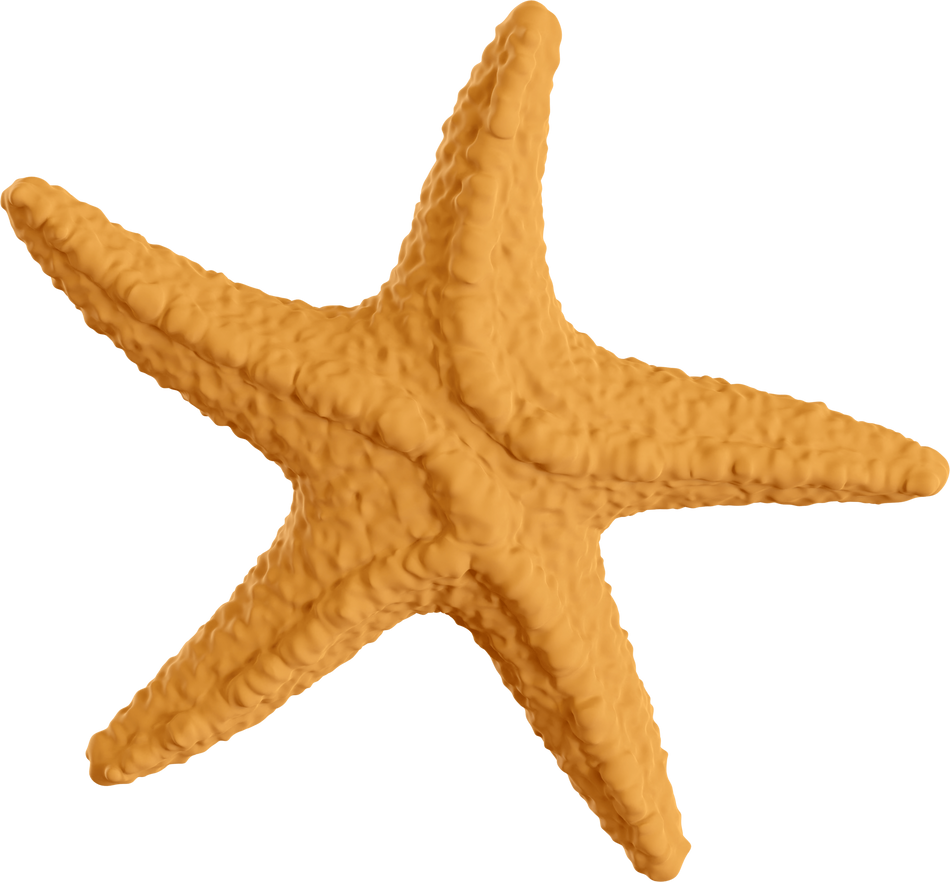 Brown Starfish Cutout